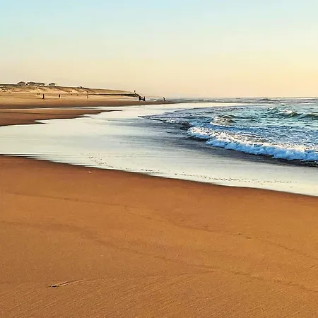 Apartamento Les Patios De Flore-1 By Interhome Mimizan-Plage