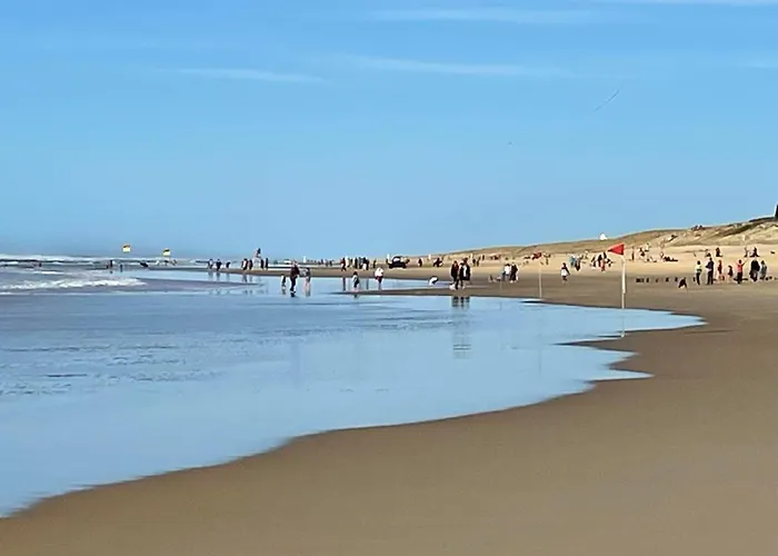 Les Patios De Flore-1 By Interhome * Mimizan-Plage