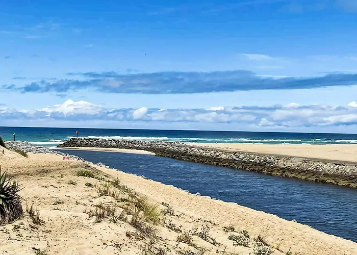 Les Patios De Flore-1 By Interhome Apartamento *
