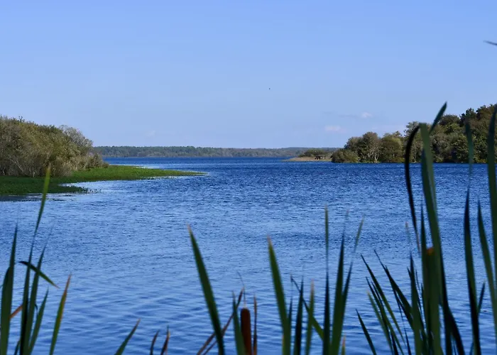 Apartamento Les Patios De Flore-1 By Interhome Mimizan-Plage