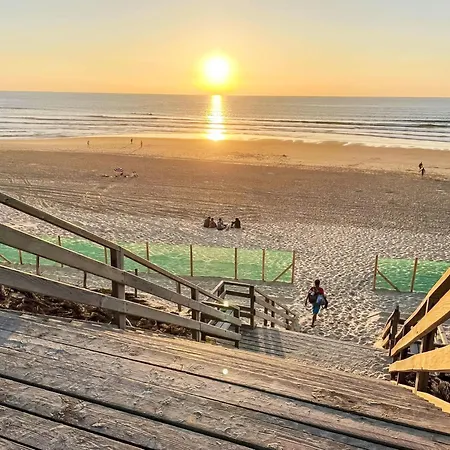 Les Patios De Flore-1 By Interhome